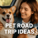 pet road trip ideas