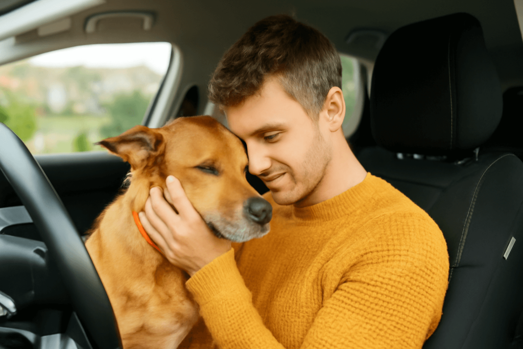 pet travel anxiety